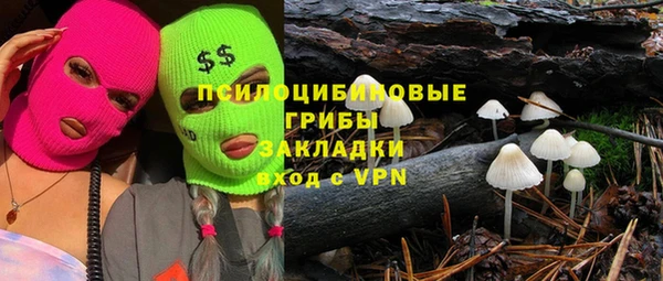 a pvp Алзамай