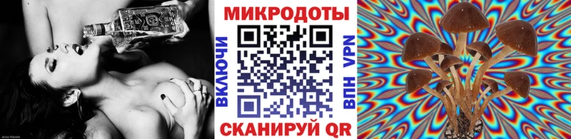 Псилоцибиновые грибы прущие грибы  Кондопога 
