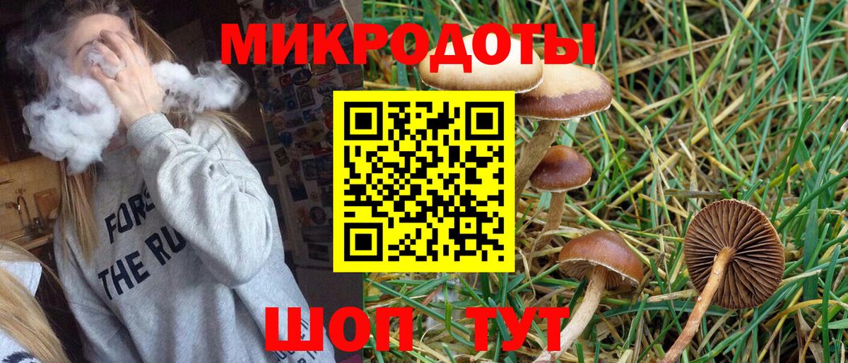 Псилоцибиновые грибы мухоморы Кондопога