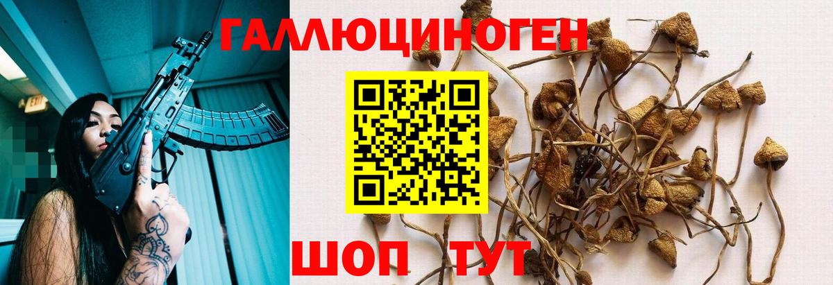 Кондопога  Галлюциногенные грибы Cubensis  Вход с VPN  Галлюциногенные грибы прущие грибы 