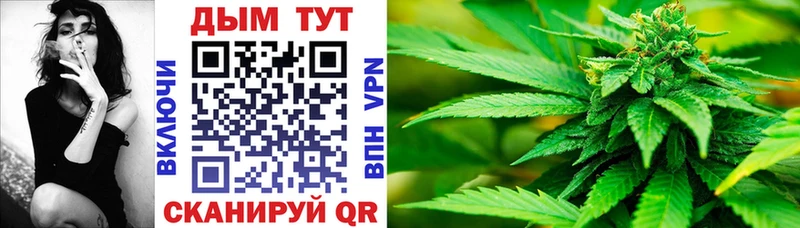 кракен зеркало  Кондопога  Марихуана индика 